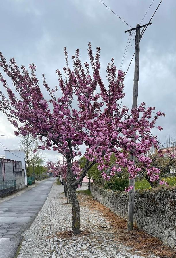 Casa Da Burra Villa Alijó Buitenkant foto